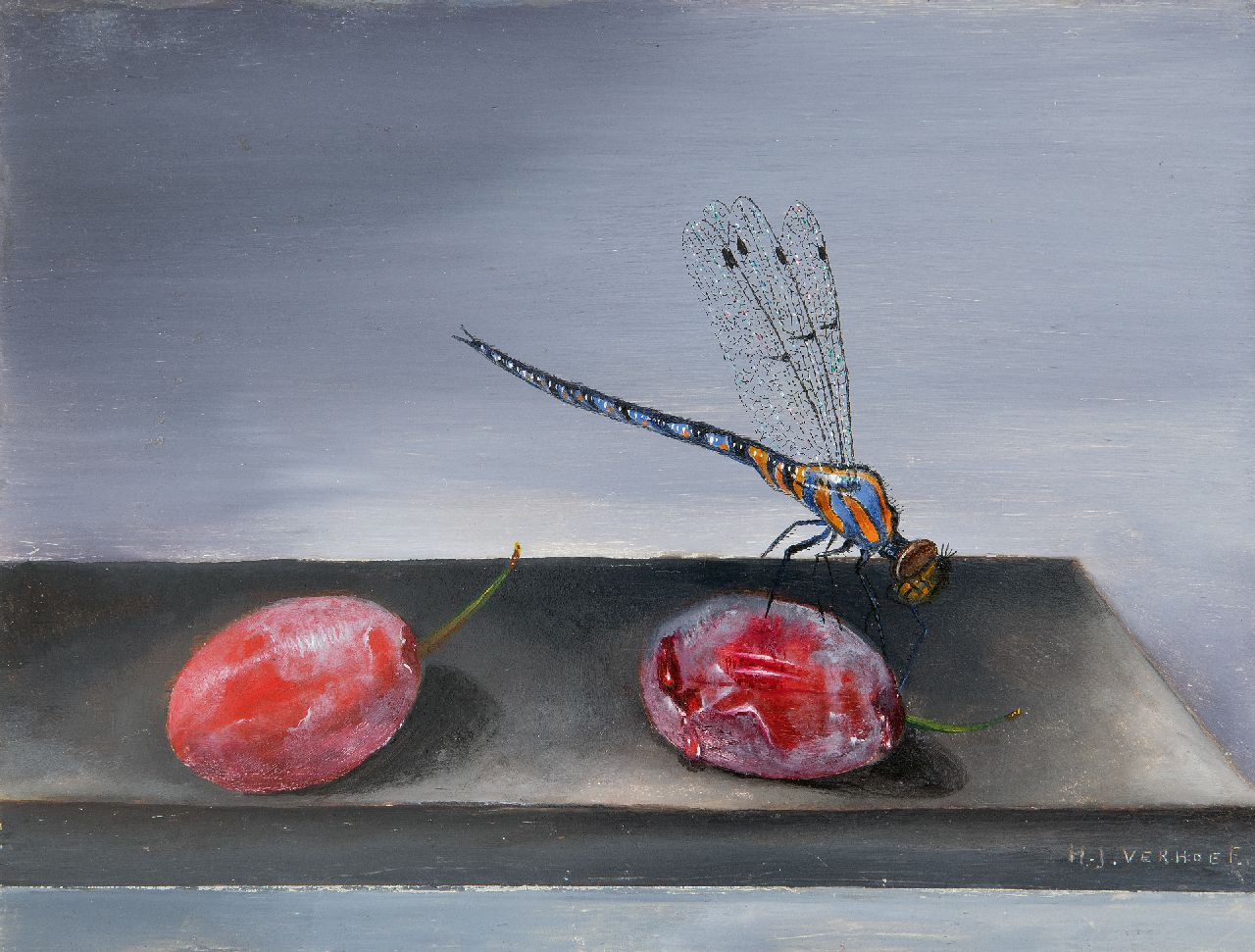 Verhoef H.  | Hans Verhoef | Schilderijen te koop aangeboden | Libelle en rode pruimen, olieverf op zink 16,0 x 21,0 cm, gesigneerd rechtsonder