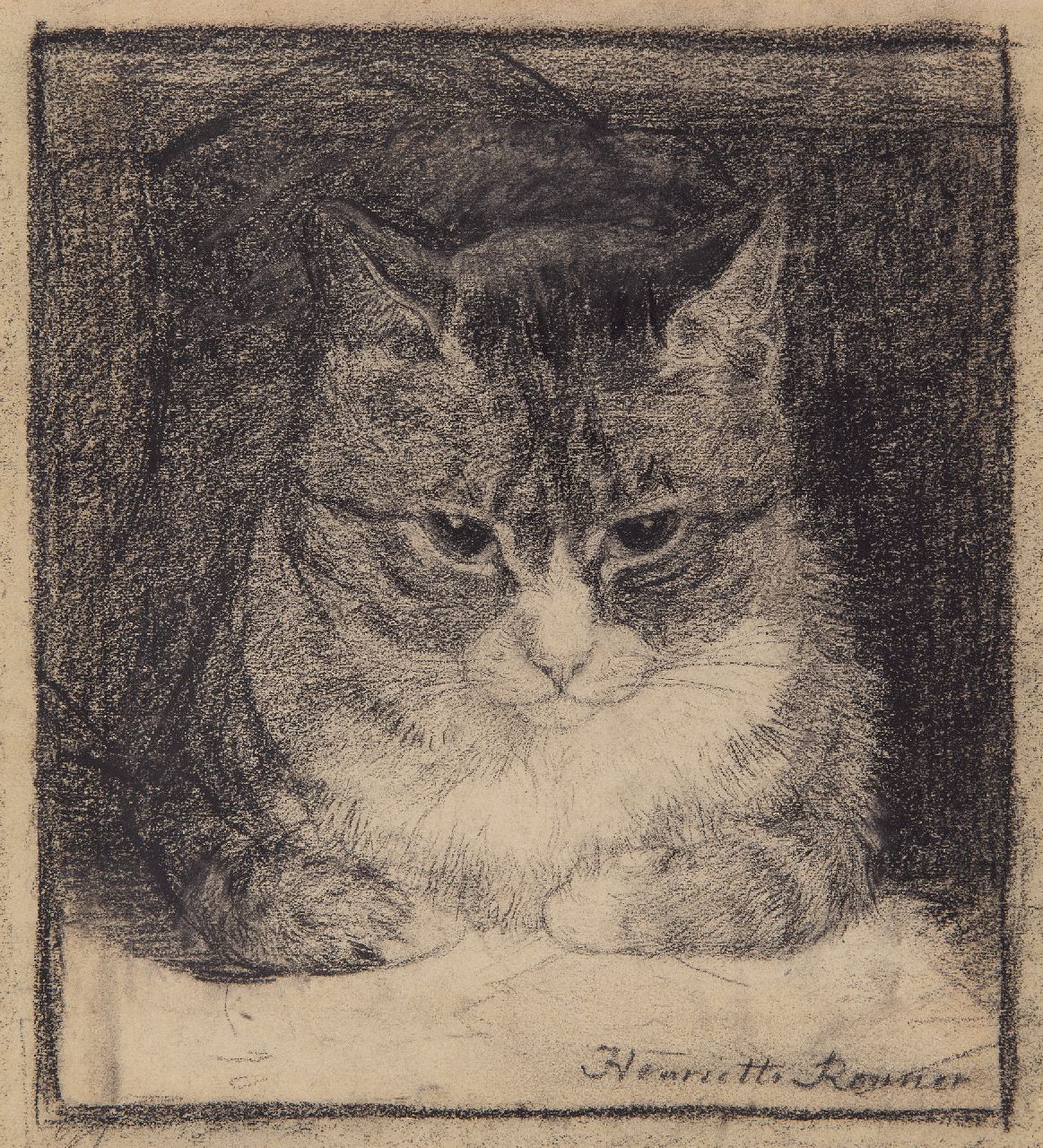 Ronner-Knip H.  | Henriette Ronner-Knip, Portret van een kat, houtskool op papier 25,2 x 23,5 cm, gesigneerd rechtsonder