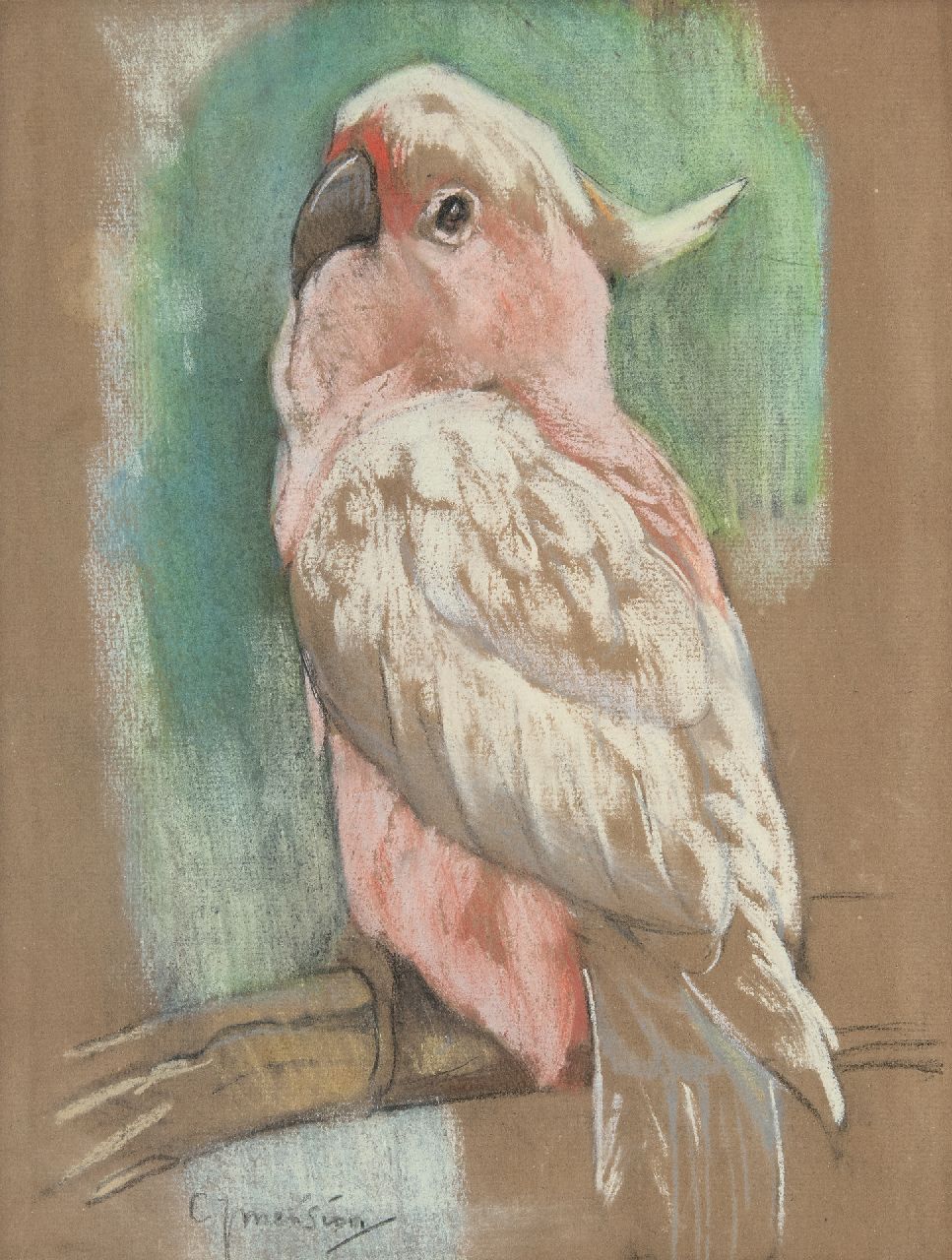 Mension C.J.  | Cornelis Jan Mension | Aquarellen en tekeningen te koop aangeboden | Roze kaketoe, pastel op papier 31,1 x 23,7 cm, gesigneerd linksonder