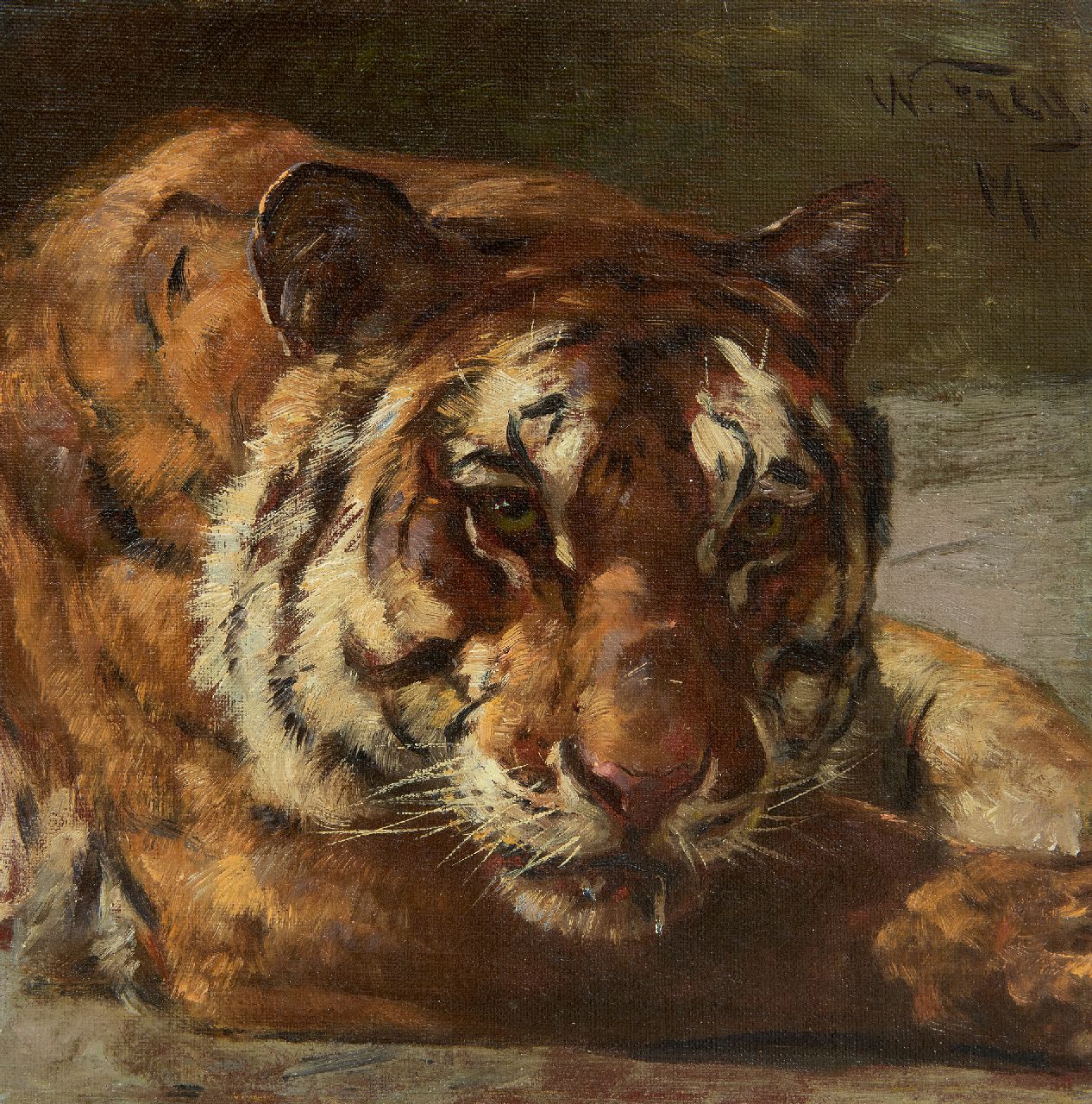 Frey W.  | Wilhelm Frey | Schilderijen te koop aangeboden | Tijger in Artis, olieverf op doek op board 25,0 x 24,9 cm, gesigneerd rechtsboven