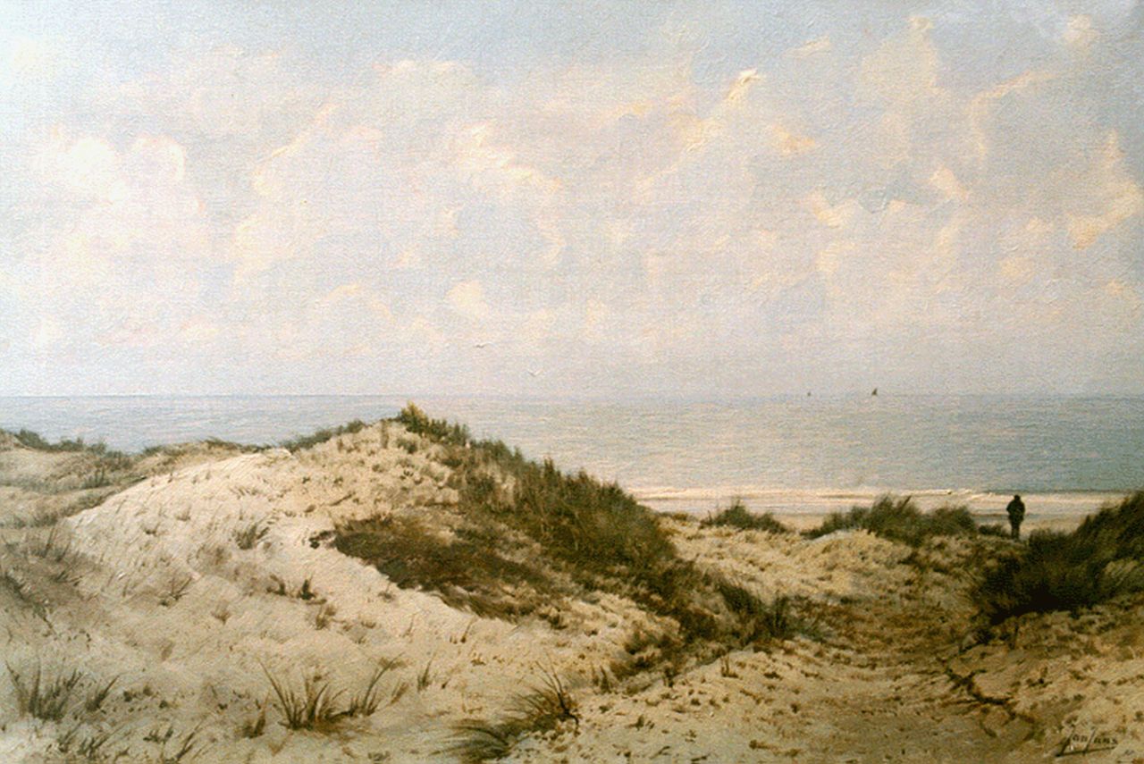 Jans J.  | Jan Jans, In de duinen bij Koudekerke, olieverf op doek 40,0 x 59,7 cm, gesigneerd rechtsonder