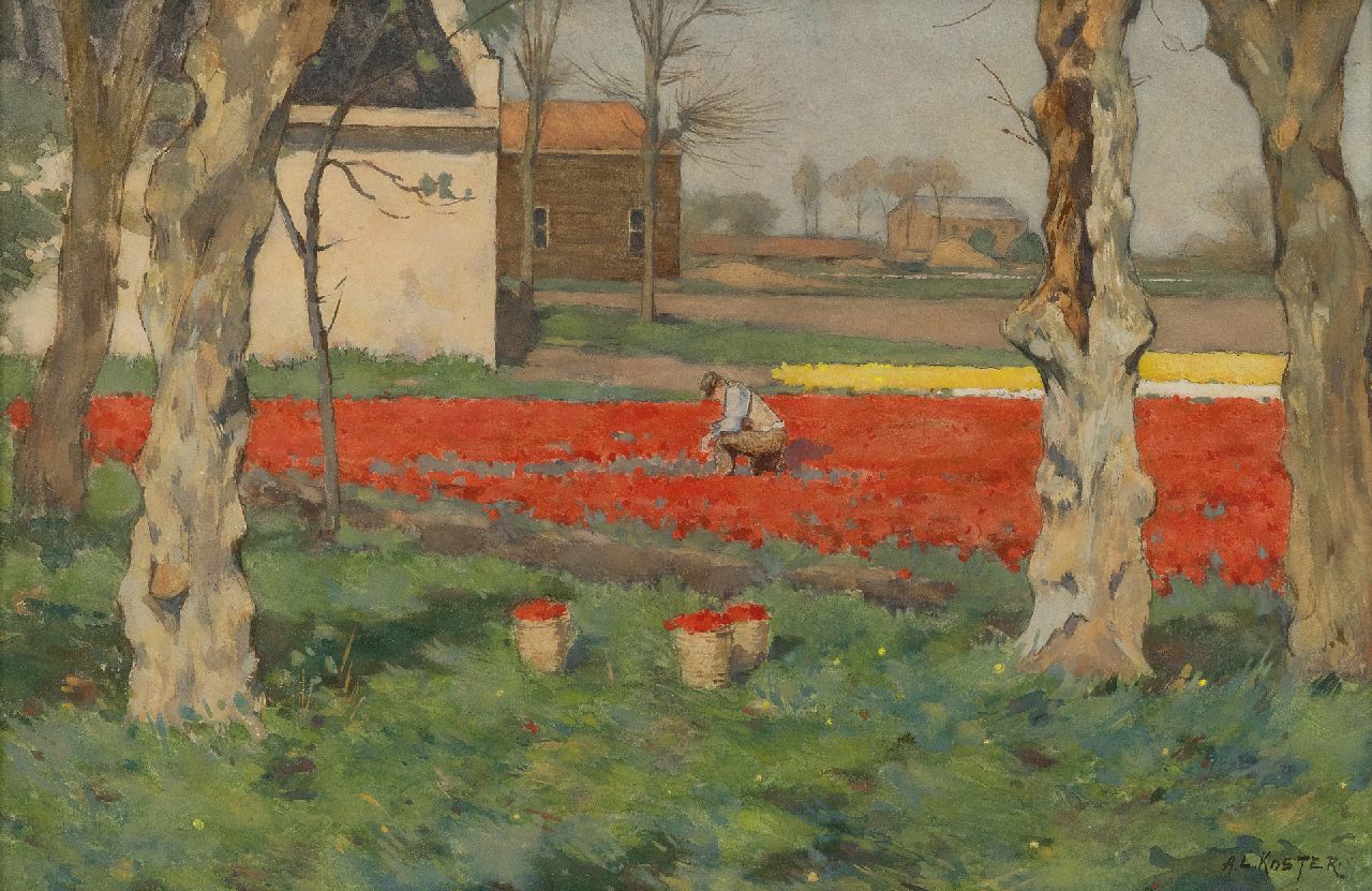 Anton Koster | Tulpenvelden tussen de bomen, aquarel en gouache op papier, 28,0 x 43,0 cm, gesigneerd r.o.