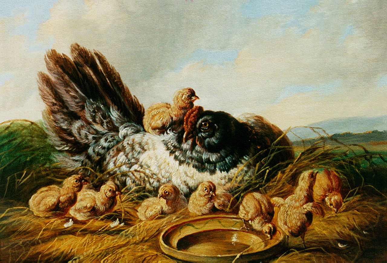 Verhoesen A.  | Albertus Verhoesen, Hen met acht kuikens, olieverf op paneel 15,0 x 19,1 cm, gesigneerd linksonder en gedateerd 1848