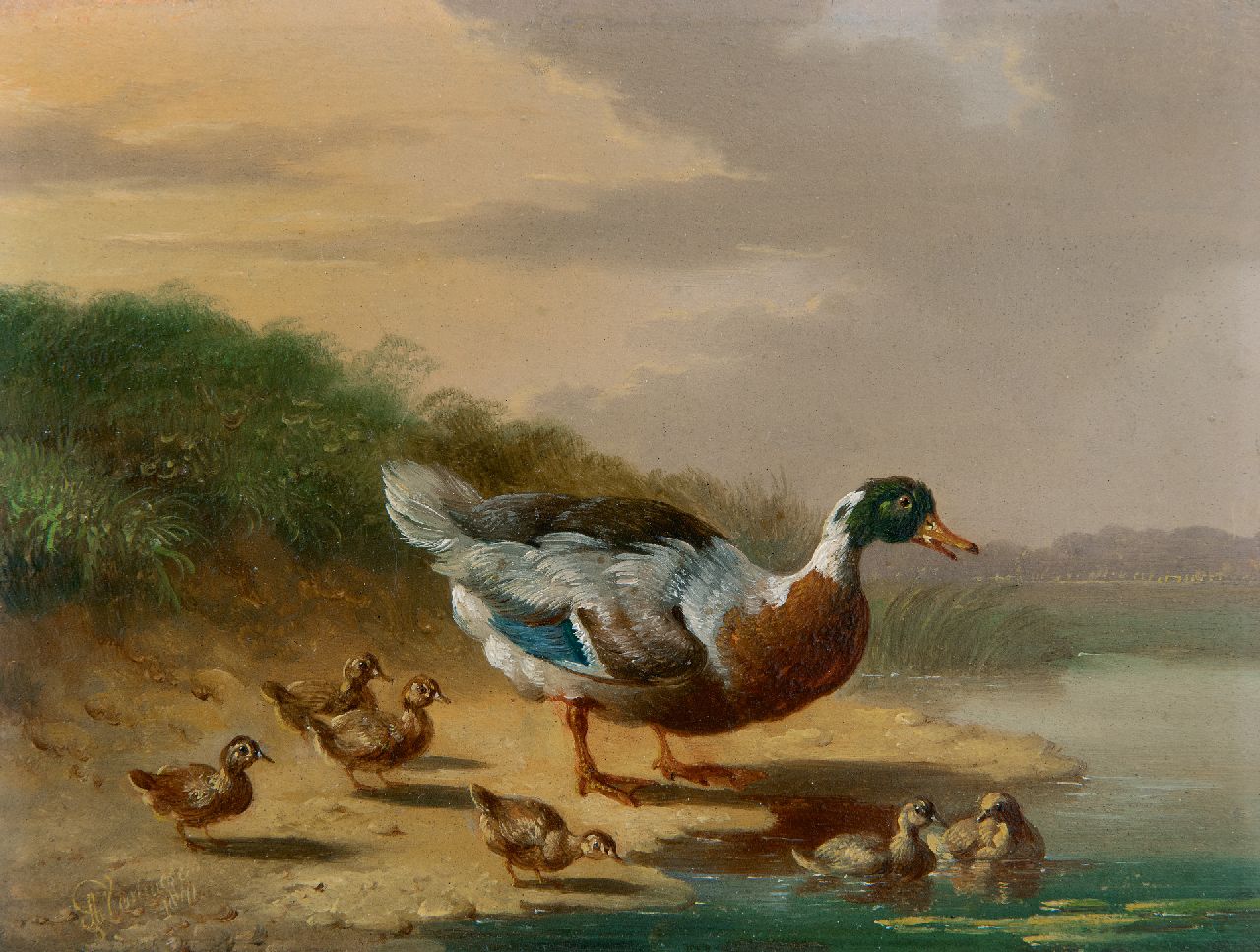 Verhoesen A.  | Albertus Verhoesen, Eend met kuikens aan het water, olieverf op paneel 13,2 x 17,0 cm, gesigneerd linksonder en gedateerd 1841
