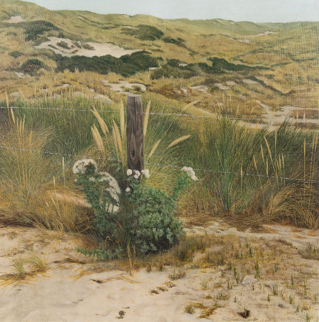 Pit van Loo | Bloemstuk in de duinen (Terschelling), olieverf op doek, 80,1 x 80,4 cm, gesigneerd r.o. op papiertje tussen het helmgras en gedateerd '75