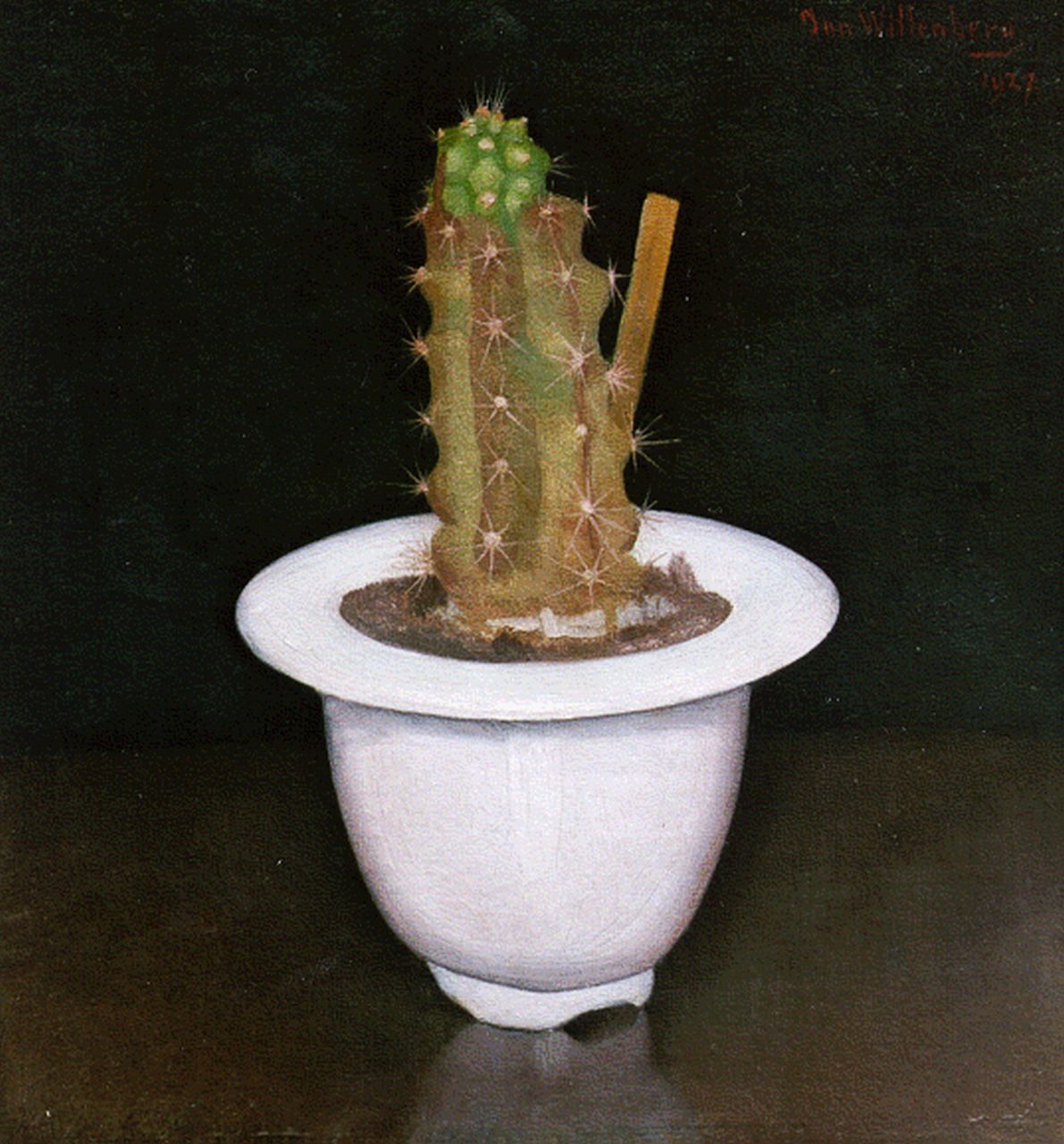 Wittenberg J.H.W.  | 'Jan' Hendrik Willem Wittenberg, Cactus in wit potje, olieverf op doek op paneel 17,0 x 15,7 cm, gesigneerd rechtsboven en gedateerd 1927