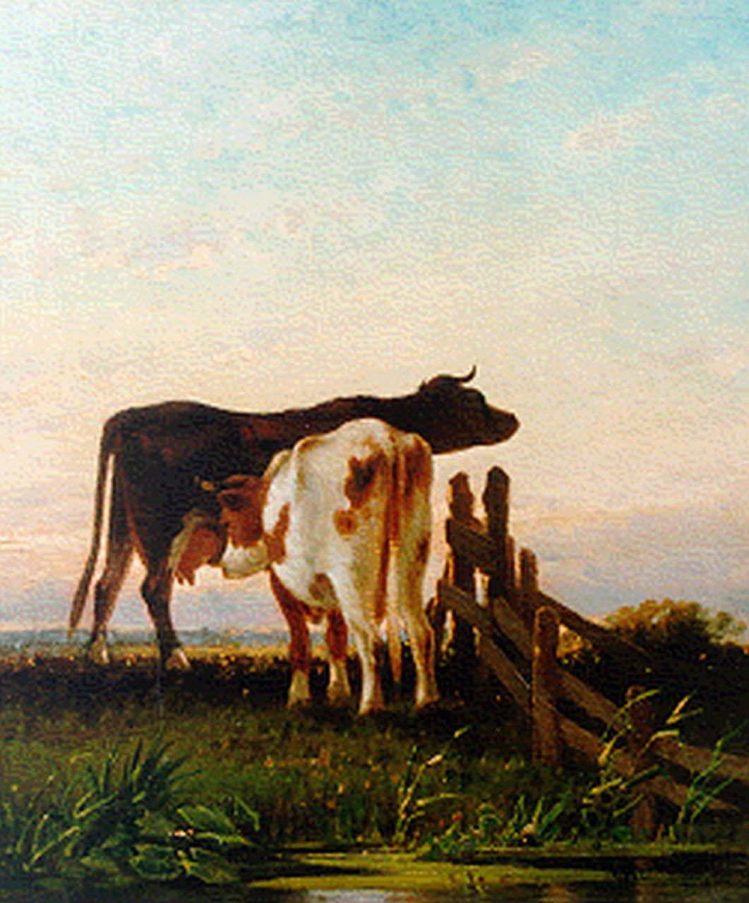 Westerbeek C.  | Cornelis Westerbeek, Koeien bij een hek, olieverf op paneel 42,5 x 36,5 cm, gesigneerd rechtsonder en gedateerd '81
