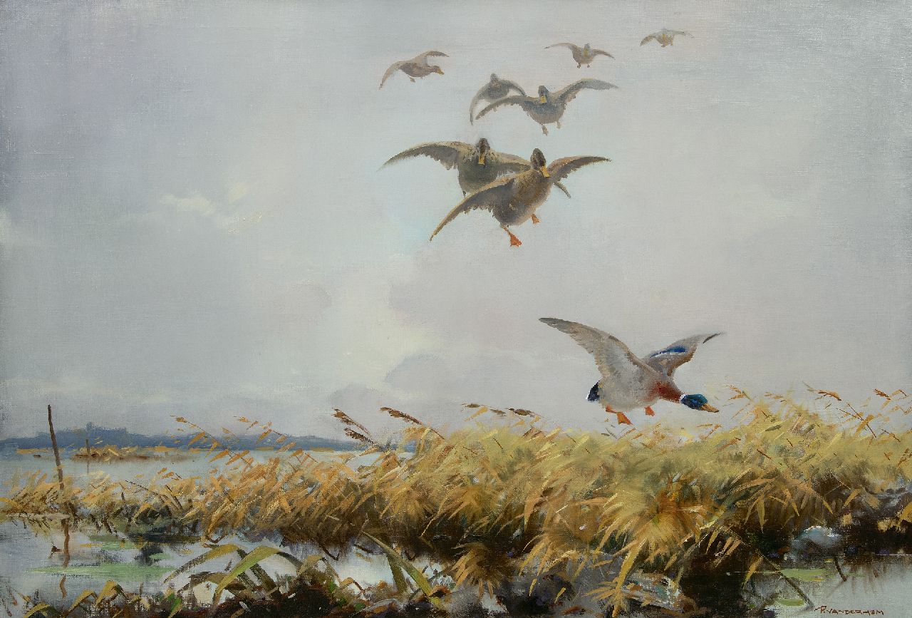 Hem P. van der | Pieter 'Piet' van der Hem | Schilderijen te koop aangeboden | Eendenvlucht, olieverf op doek 65,8 x 96,4 cm, gesigneerd rechtsonder