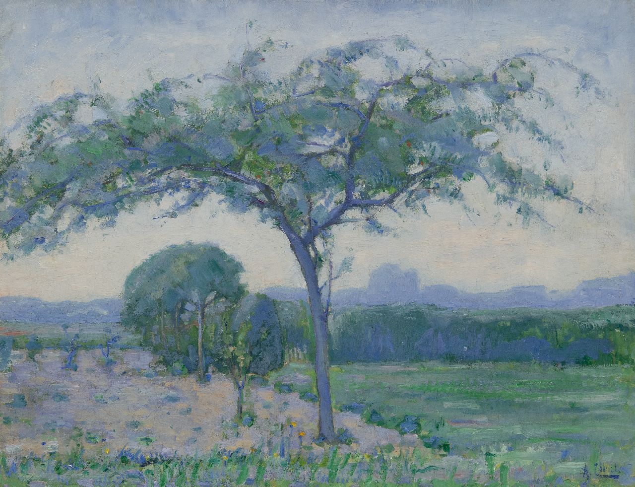 Colnot A.J.G.  | 'Arnout' Jacobus Gustaaf Colnot, Duinlandschap bij de Catrijper Nok, Schoorl, olieverf op doek 48,3 x 62,5 cm, gesigneerd rechtsonder