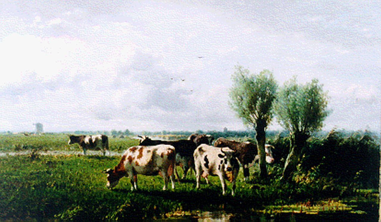 Westerbeek C.  | Cornelis Westerbeek, Koeien in Hollands landschap, olieverf op doek 56,8 x 96,8 cm, gesigneerd linksonder en gedateerd '96