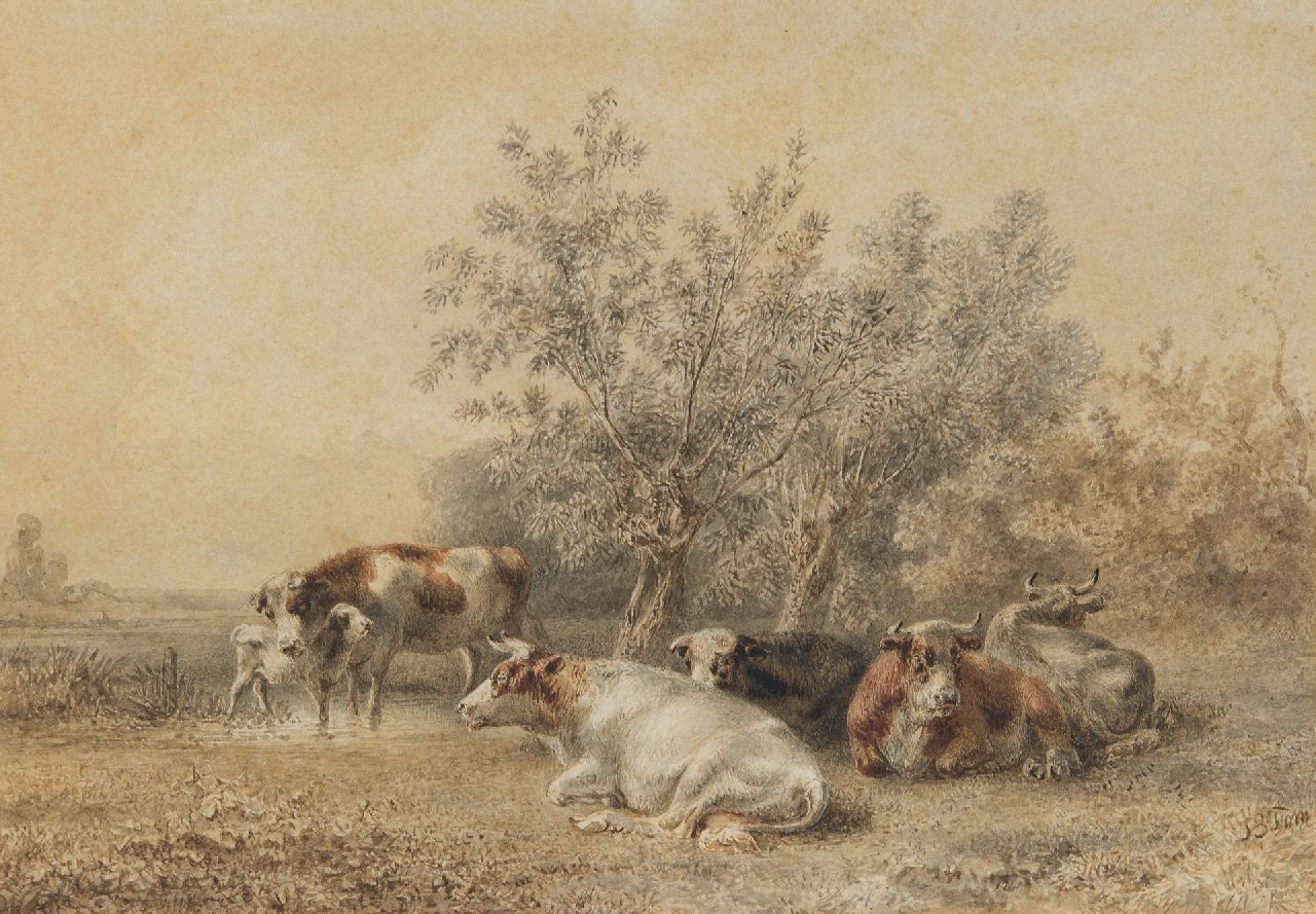 Jan Bedijs Tom | Koeien bij een wilgenbosje, inkt en aquarel op papier, 20,7 x 30,0 cm, gesigneerd r.o.