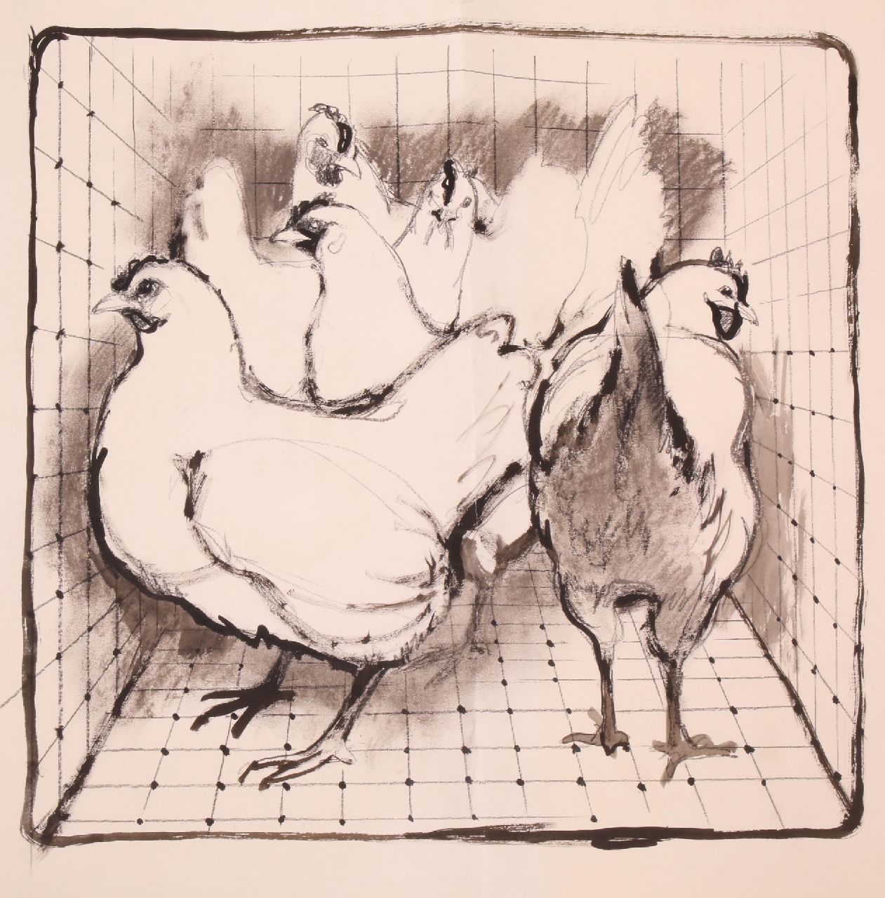 Poortvliet R.  | Rien Poortvliet | Aquarellen en tekeningen te koop aangeboden | Kippen in een ren, houtskool en inkt op papier 49,4 x 64,8 cm