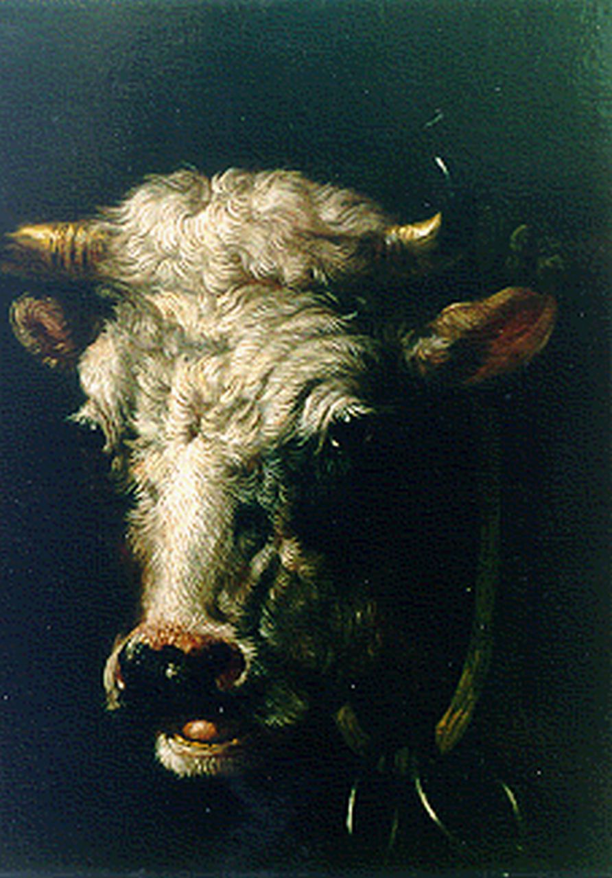 Verhoesen A.  | Albertus Verhoesen, Portret van een koe, olieverf op paneel 16,8 x 14,0 cm
