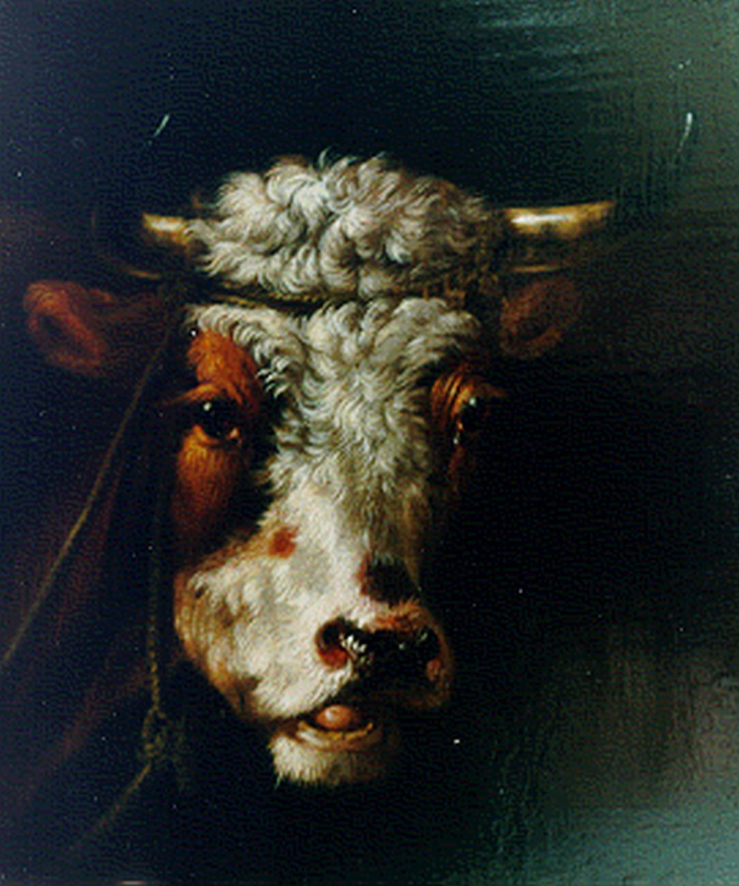 Verhoesen A.  | Albertus Verhoesen, Portret van een os, olieverf op paneel 16,7 x 14,1 cm