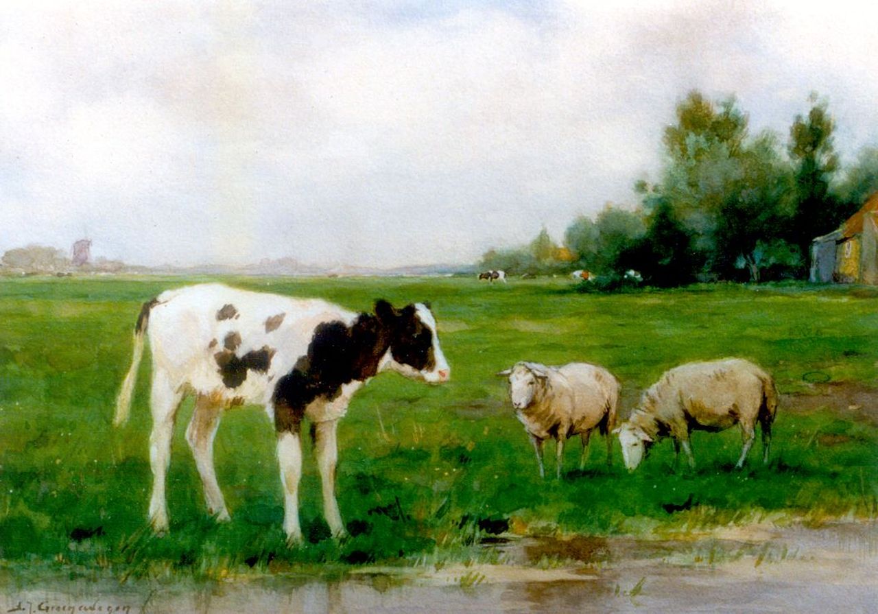 Groenewegen A.J.  | Adrianus Johannes Groenewegen, Kalf en schapen bij poldersloot, aquarel op papier 25,3 x 35,2 cm, gesigneerd linksonder