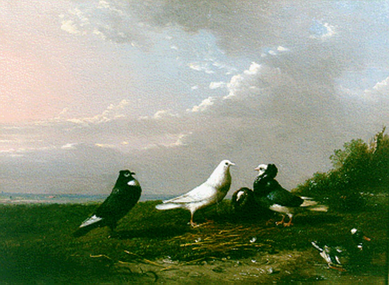 Severdonck F. van | Frans van Severdonck, Duiven en een eend in een landschap, olieverf op paneel 16,7 x 22,7 cm, gesigneerd linksonder