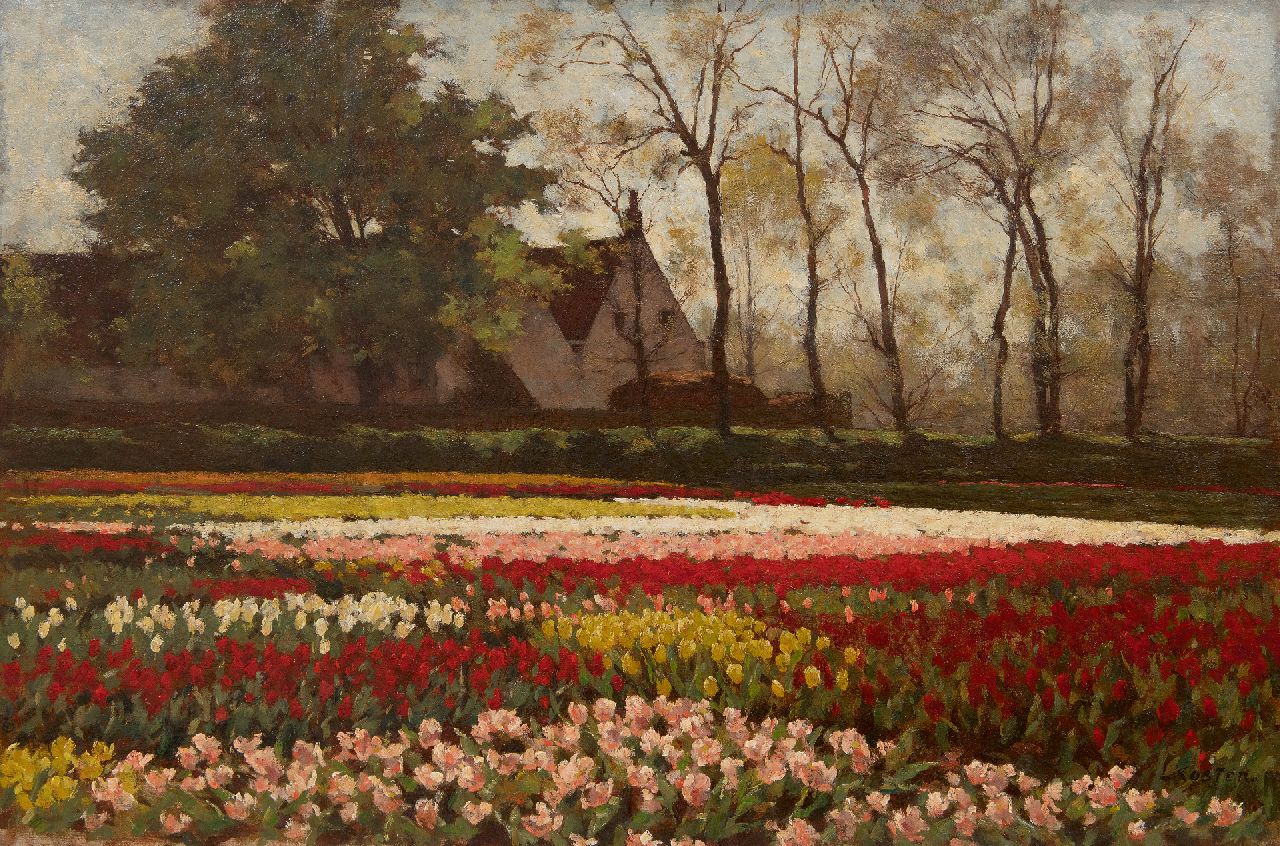 Koster A.L.  | Anton Louis 'Anton' Koster, Bloeiende tulpenvelden, olieverf op doek 53,5 x 81,9 cm, gesigneerd rechtsonder