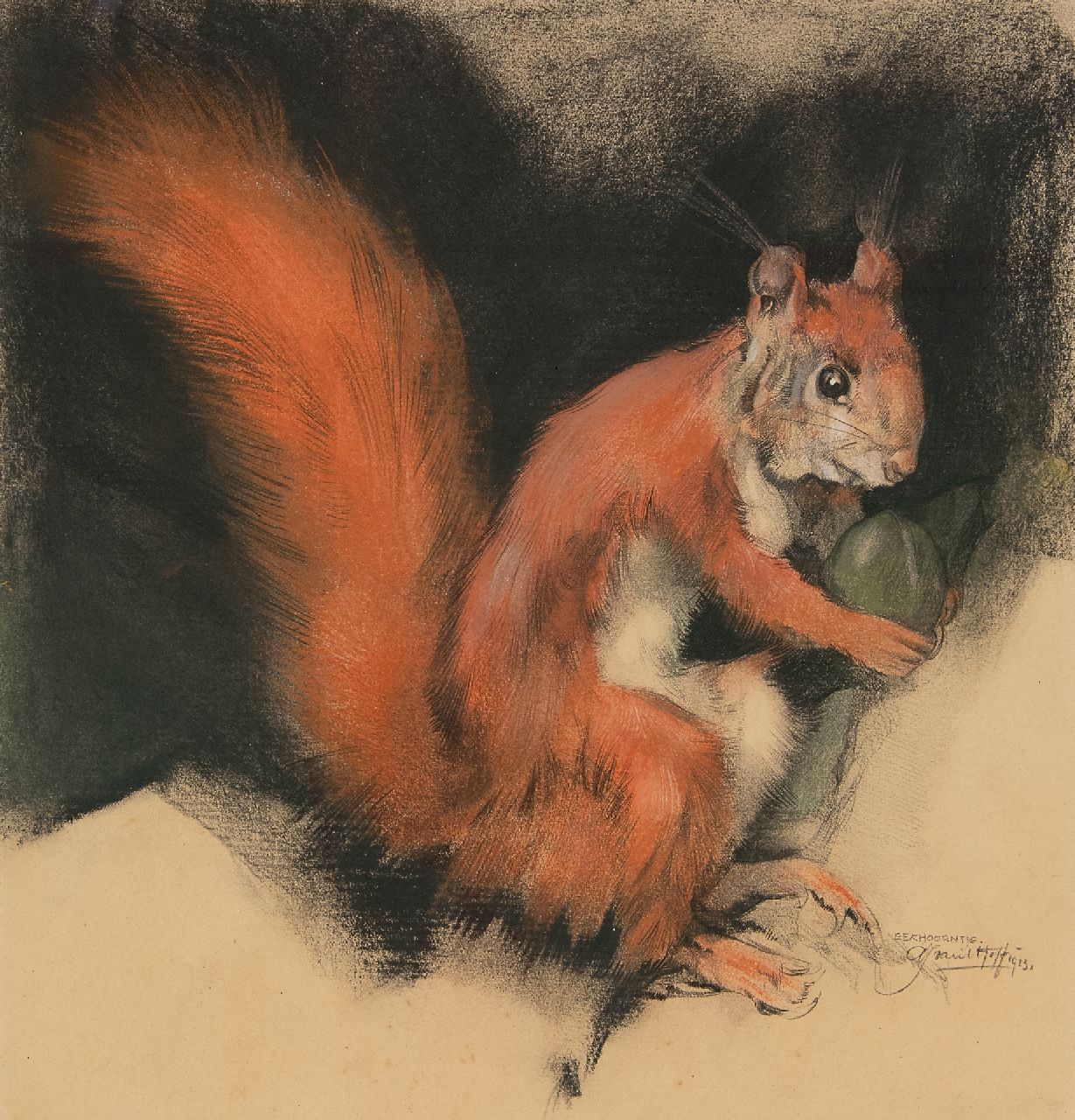Hoff A.J. van 't | Adrianus Johannes 'Adriaan' van 't Hoff | Aquarellen en tekeningen te koop aangeboden | Eekhoorntje, houtskool en pastel op papier 28,2 x 27,2 cm, gesigneerd rechtsonder en gedateerd 1923