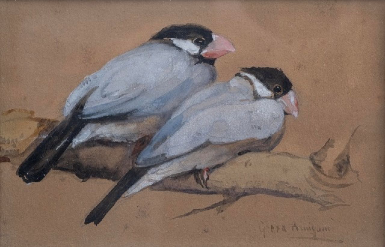 Bruigom M.C.  | Margaretha Cornelia 'Greta' Bruigom | Aquarellen en tekeningen te koop aangeboden | Twee zeebravinken op een tak, aquarel op papier 10,0 x 15,0 cm, gesigneerd rechtsonder