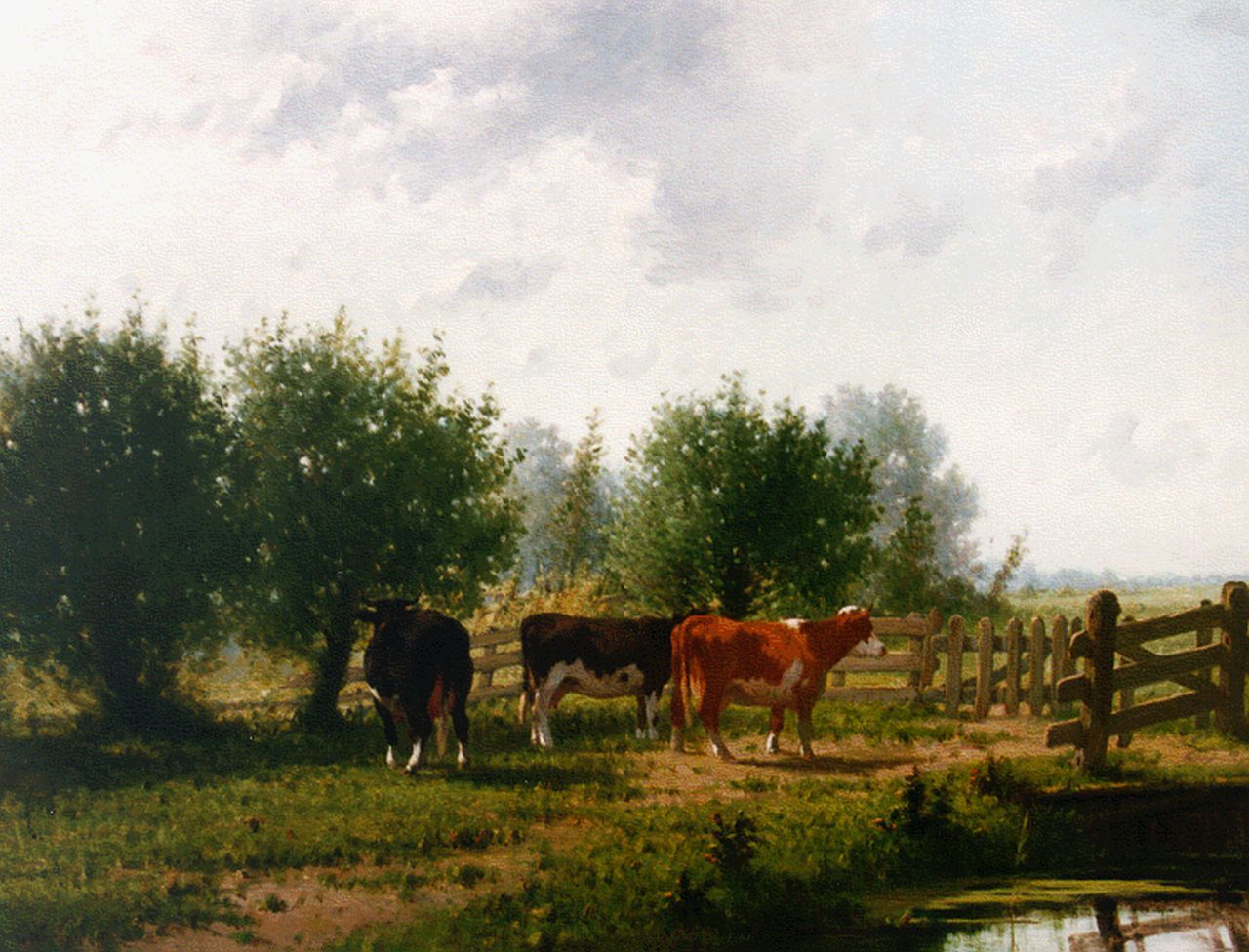 Westerbeek C.  | Cornelis Westerbeek, Drie koeien bij een slootkant, olieverf op paneel 66,4 x 88,2 cm, gesigneerd linksonder en gedateerd '84