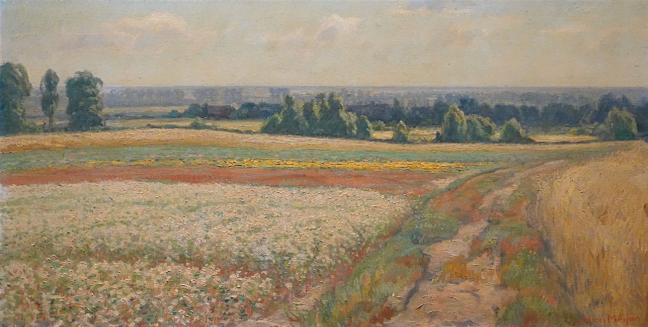 Meijer J. | Johannes 'Johan' Meijer | Schilderijen te koop aangeboden | Goois zomerlandschap, olieverf op doek 44,5 x 84,3 cm, gesigneerd rechtsonder Meijer J. | Johannes 'Johan' Meijer | Schilderijen te koop aangeboden | Goois zomerlandschap, olieverf op doek 44,5 x 84,3 cm, gesigneerd rechtsonder