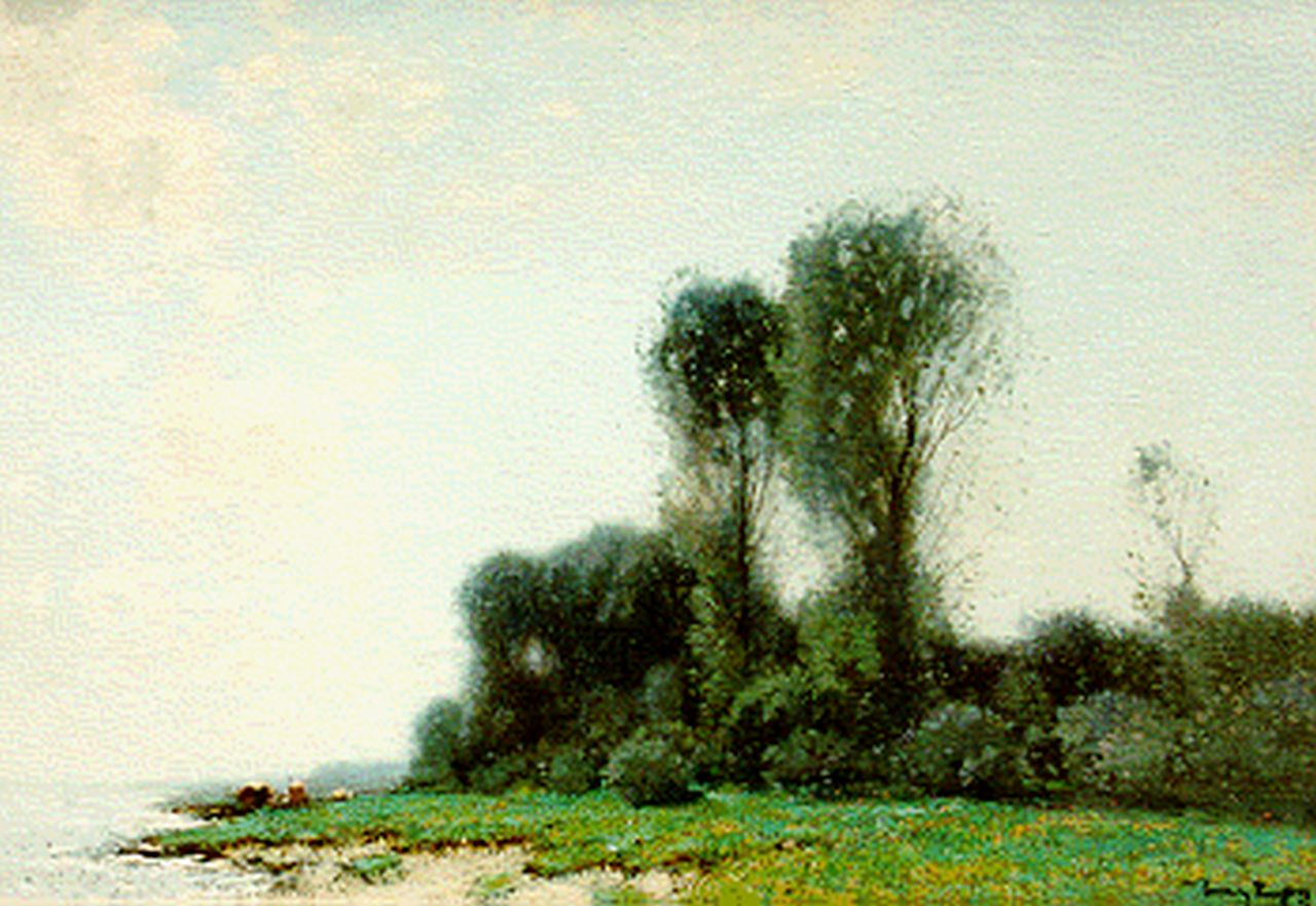 Kuijpers C.  | Cornelis Kuijpers, Koeien in mistig landschap, olieverf op doek 45,0 x 60,0 cm, gesigneerd rechtsonder
