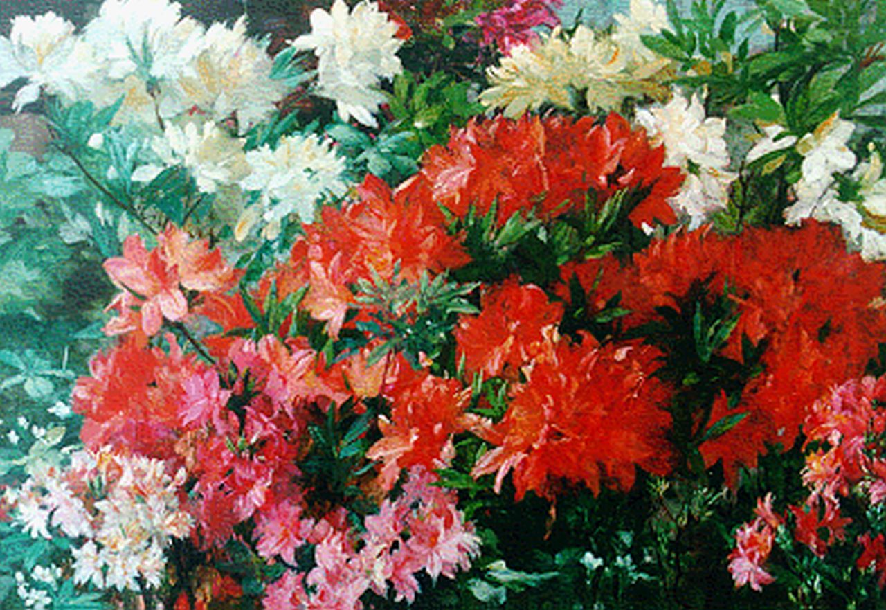 Visser jr. J.  | Jan Visser jr., Bloeiende Rhododendrons, olieverf op doek 61,6 x 87,8 cm, gesigneerd rechtsboven