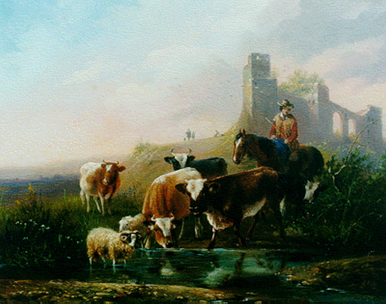 Knip A.  | Augustus 'August' Knip, Koeien en schapen bij een stroom, olieverf op paneel 21,3 x 26,8 cm, gesigneerd rechtsonder