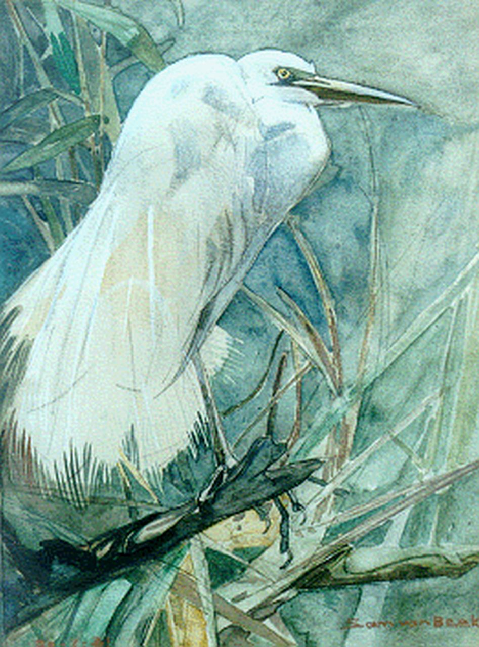 Beek S.J. van | Samuel Joseph 'Sam' van Beek, Witte reiger, aquarel op board 33,0 x 25,5 cm, gesigneerd rechtsonder