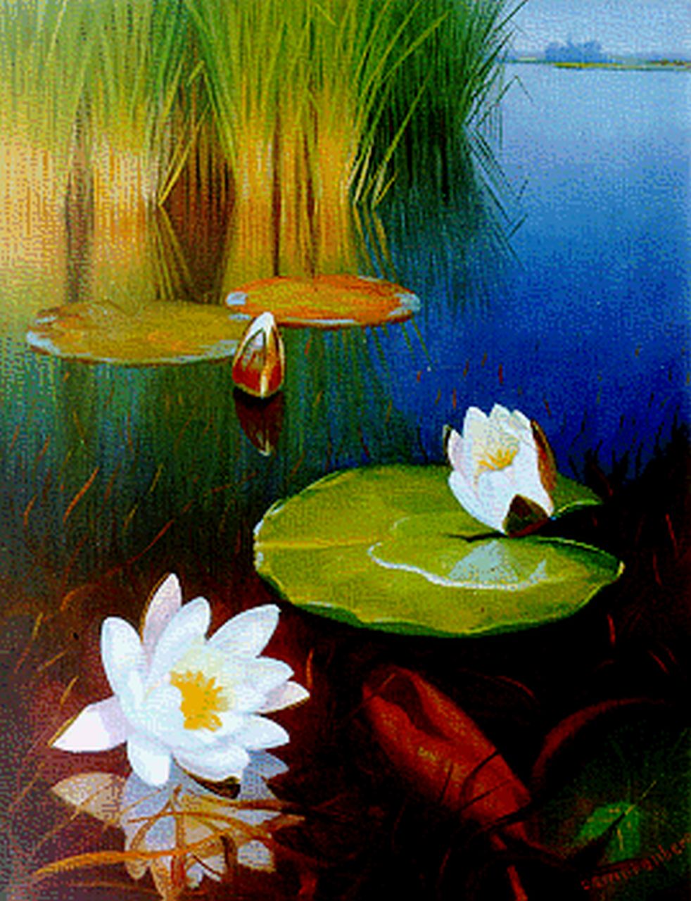 Smorenberg D.  | Dirk Smorenberg, Waterlelies in de Loosdrechtse plassen, olieverf op doek 50,5 x 39,0 cm, gesigneerd rechtsonder