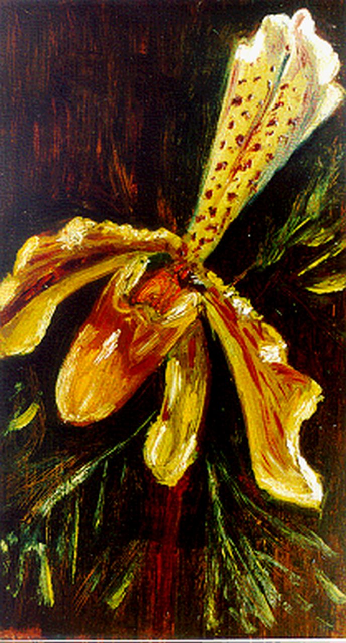 Maris M.  | Mies Maris, Orchideeën, olieverf op papier op schildersboard 22,0 x 12,6 cm