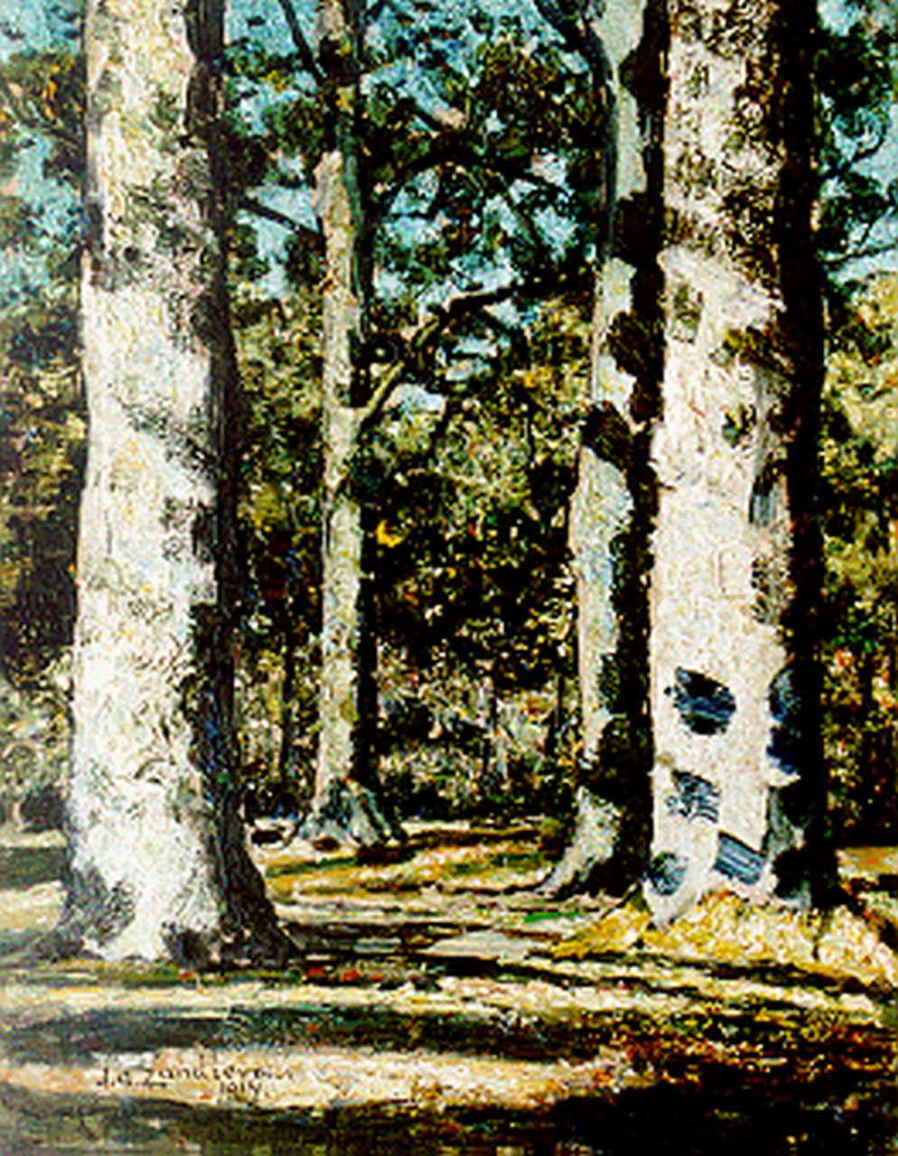 Zandleven J.A.  | Jan Adam Zandleven, Zonovergoten bosgezicht, olieverf op doek op schildersboard 41,0 x 32,0 cm, gesigneerd linksonder en gedateerd 1914