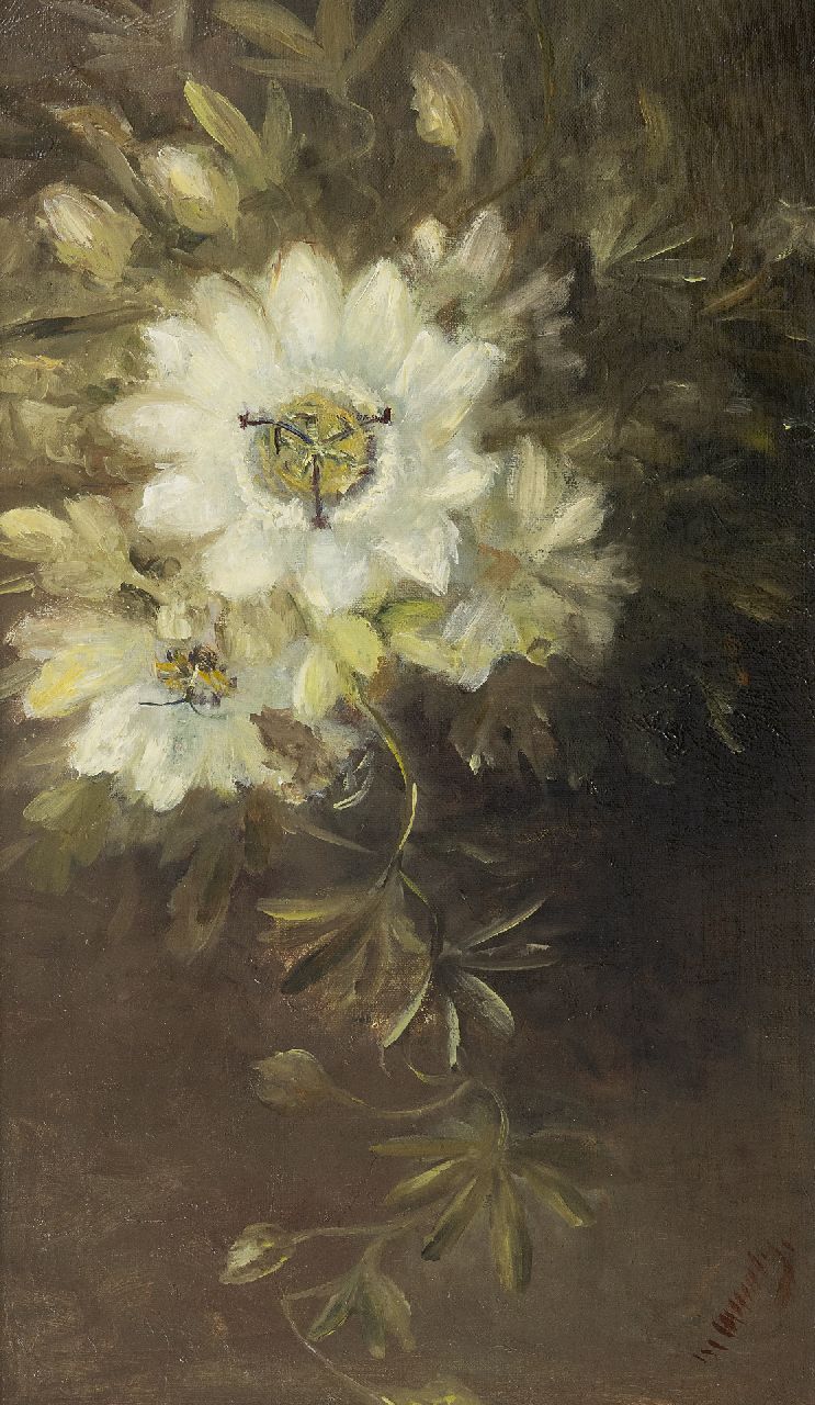 Marie Wuytiers | Passiebloem, olieverf op doek, 51,4 x 30,2 cm, gesigneerd r.o.