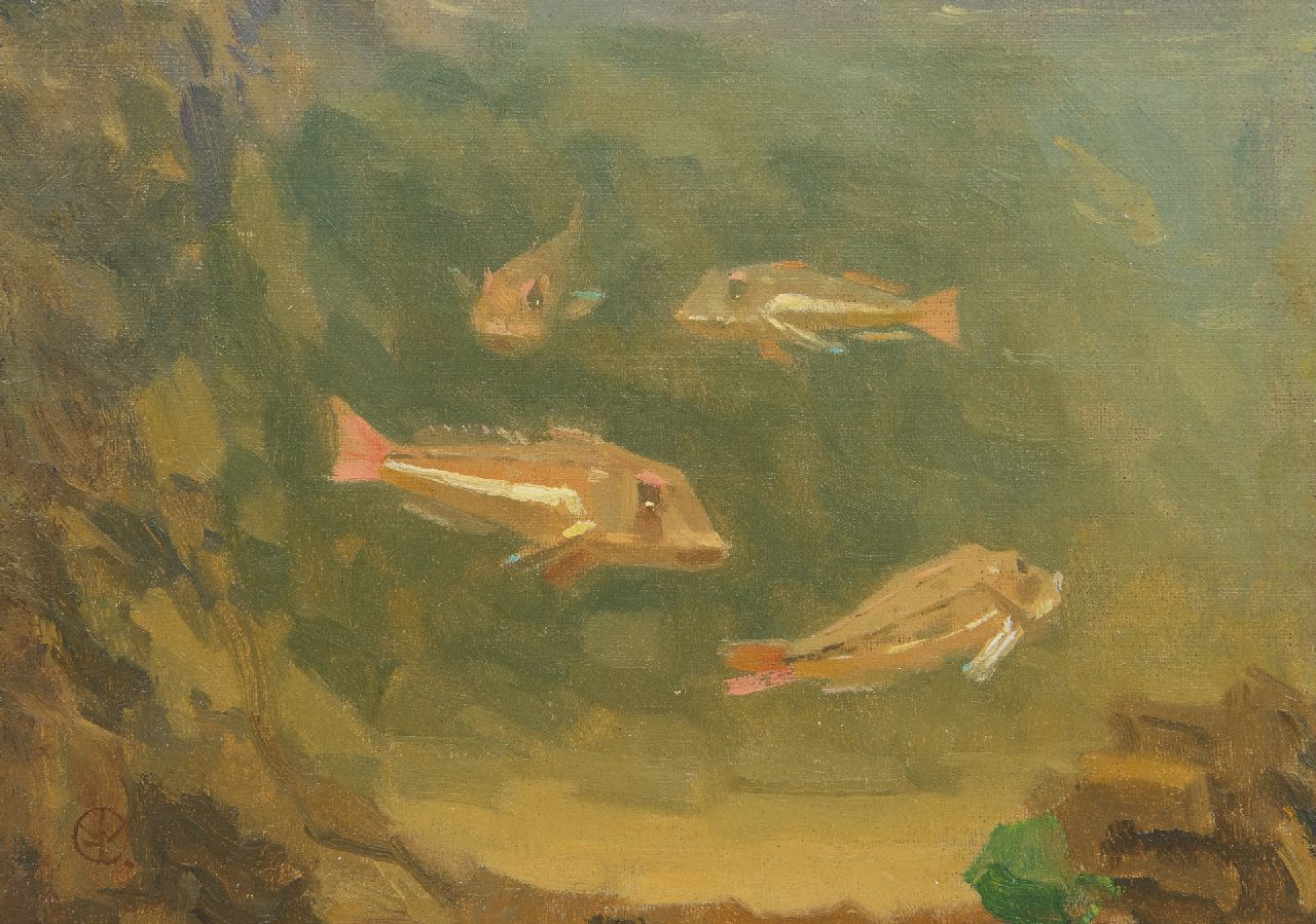 Dijsselhof G.W.  | Gerrit Willem Dijsselhof | Schilderijen te koop aangeboden | Rode ponen in een aquarium (niet te koop), olieverf op doek op paneel 18,5 x 24,5 cm, gesigneerd linksonder met mon