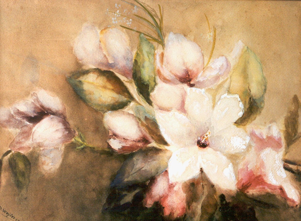 Wuytiers-Blaauw A.M.  | Anna Maria 'Marie' Wuytiers-Blaauw, Magnoliatak, aquarel en gouache op papier 39,5 x 54,0 cm, gesigneerd linksonder