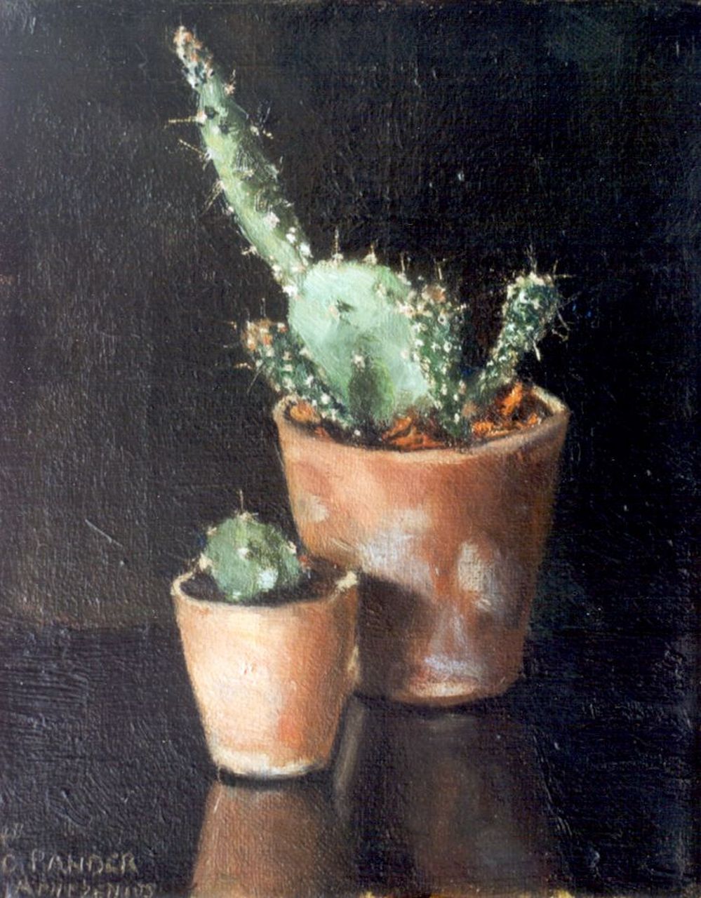 Arntzenius E.C.  | Elise Claudine Arntzenius, Cactusplantjes, olieverf op doek 21,2 x 17,0 cm, gesigneerd linksonder
