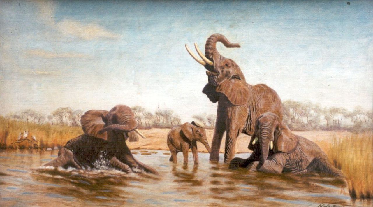 Schulz-Borek R.  | Rudolf Schulz-Borek, Olifanten bij een waterplaats, olieverf op doek 37,5 x 64,8 cm, gesigneerd rechtsonder