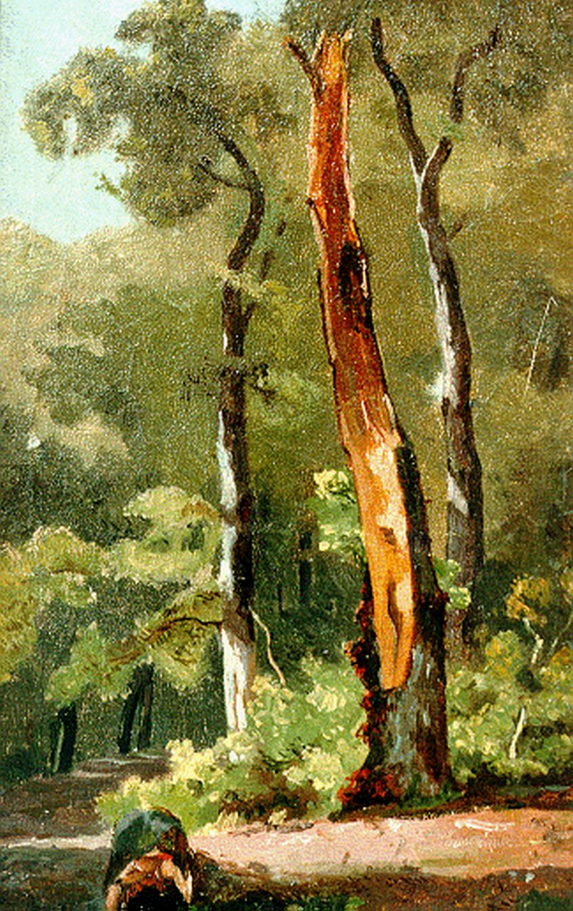 Borselen J.W. van | Jan Willem van Borselen, Zomers bosgezichtstudie, olieverf op doek op paneel 29,1 x 18,4 cm