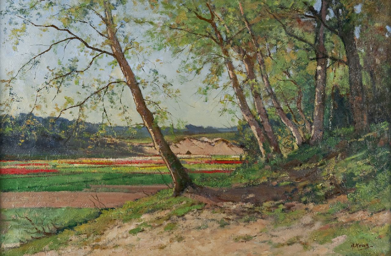 Keus A.  | Adriaan Keus, Bosrand met uitzicht op bollenvelden, olieverf op doek 54,0 x 81,2 cm, gesigneerd rechtsonder