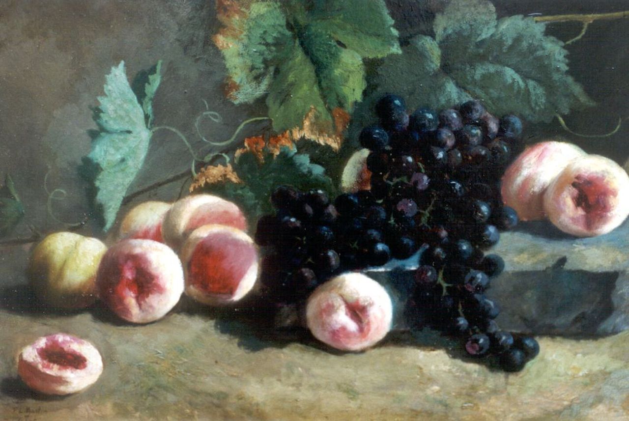 Schot F.L.  | Francina Louise Schot, Fruitstilleven, olieverf op paneel 37,1 x 53,4 cm, gesigneerd linksonder