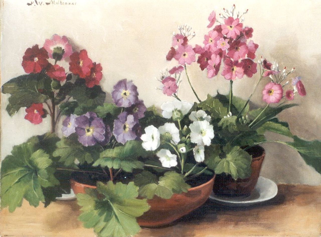 Millenaar P.W.  | Pieter Wilhelm Millenaar, Primula's, olieverf op doek 30,1 x 39,9 cm, gesigneerd linksboven