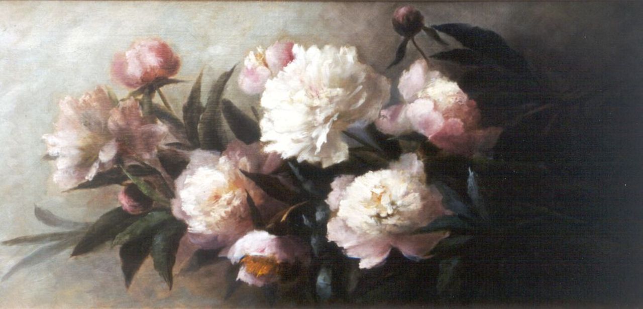 Stenis-Breuer C.F. van | 'Clara' Francina van Stenis-Breuer, Stilleven van pioenrozen, olieverf op doek 38,4 x 78,3 cm