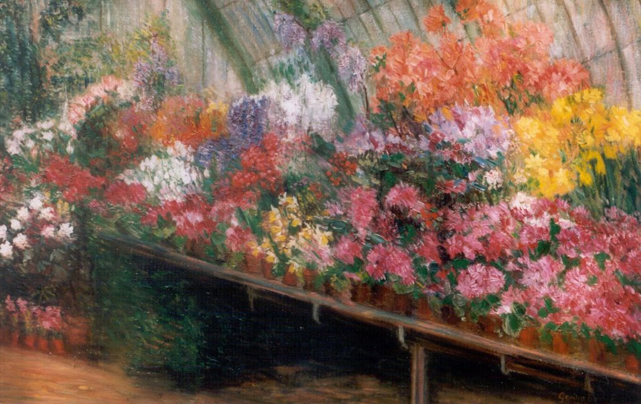 Gesina Boevé | Greenhouse met azalea's, olieverf op doek, 50,7 x 76,2 cm, gesigneerd r.o. en gedateerd 1917