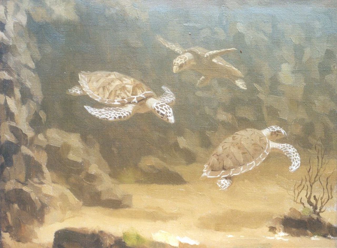 Dijsselhof G.W.  | Gerrit Willem Dijsselhof, Waterschildpadden, olieverf op doek 20,7 x 26,7 cm