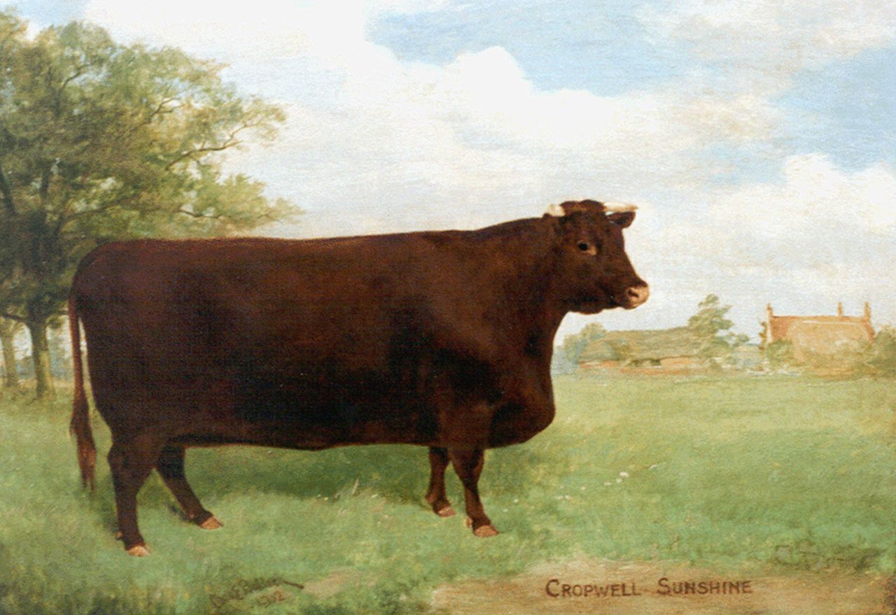 Baldock C.E.M.  | Charles Edwin M. Baldock, Cropwell Sunshine, portret van een koe, olieverf op doek 30,5 x 43,3 cm, gesigneerd linksonder en gedateerd 1901