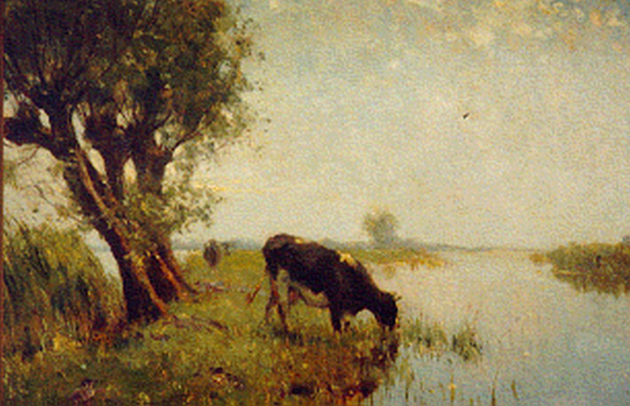 Altmann G.  | Gerard Altmann, Polderplas met wilg en koe, olieverf op doek 50,0 x 40,0 cm, gesigneerd linksonder