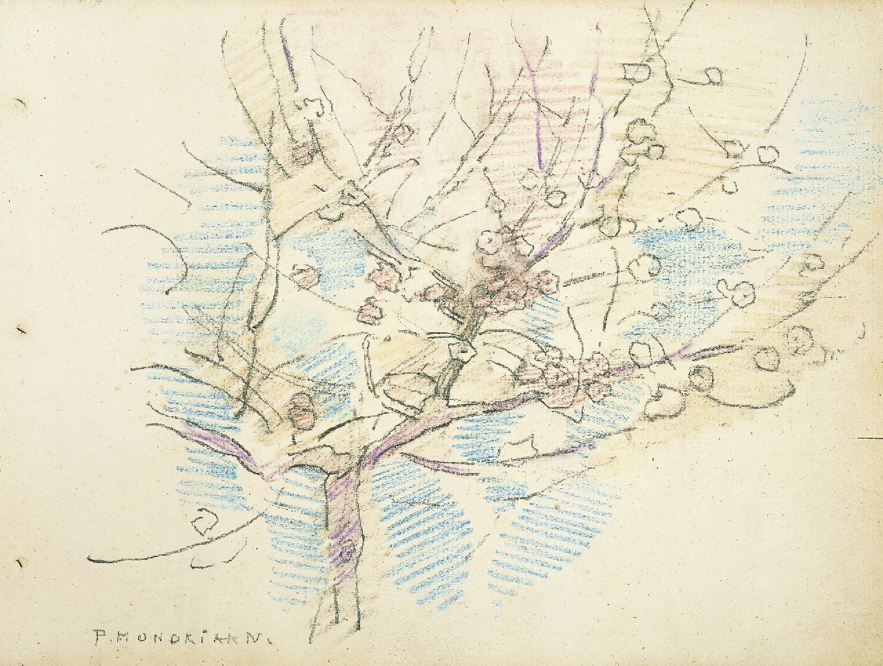 Mondriaan P.C.  | Pieter Cornelis 'Piet' Mondriaan, Bloeiende appelboom, kleurpotlood op papier 19,0 x 25,0 cm, gesigneerd linksonder en te dateren ca. 1917