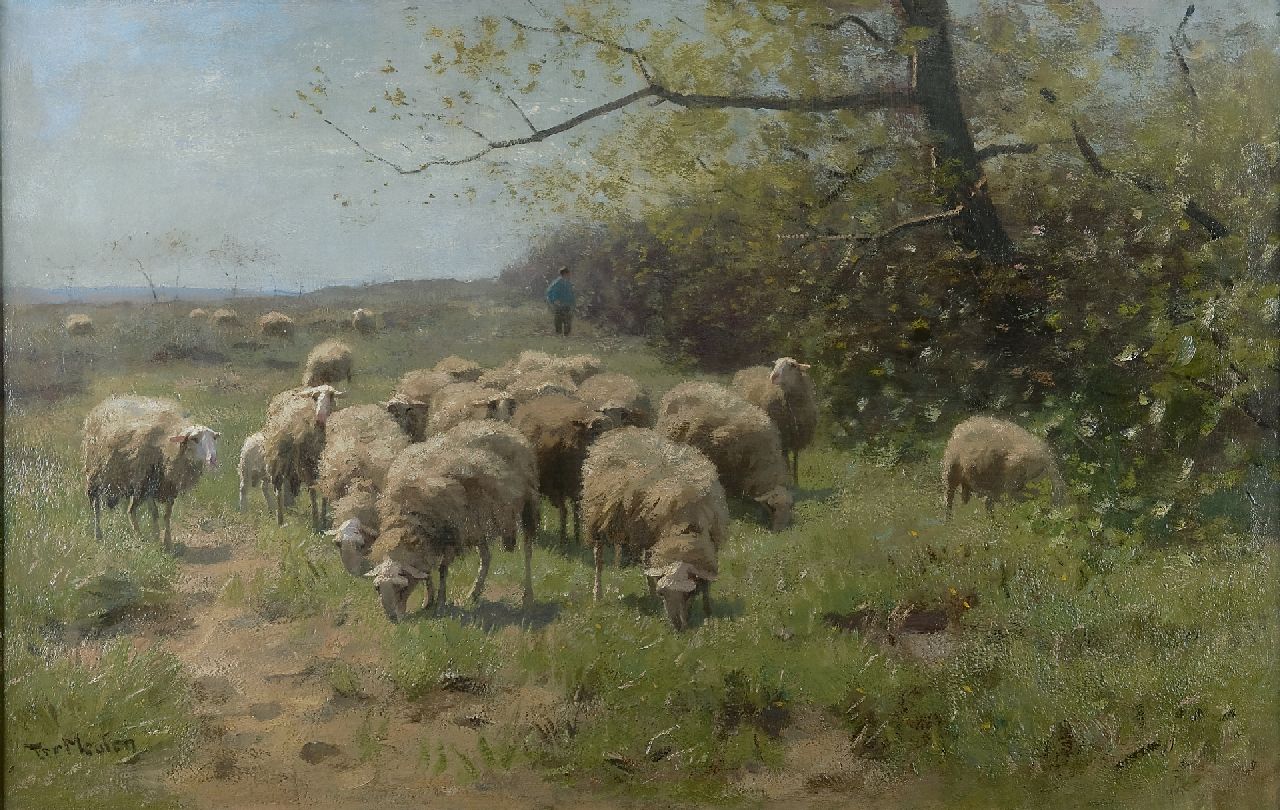 Meulen F.P. ter | François Pieter ter Meulen, Grazende schapen in Veluws landschap, olieverf op doek 67,5 x 104,7 cm, gesigneerd linksonder