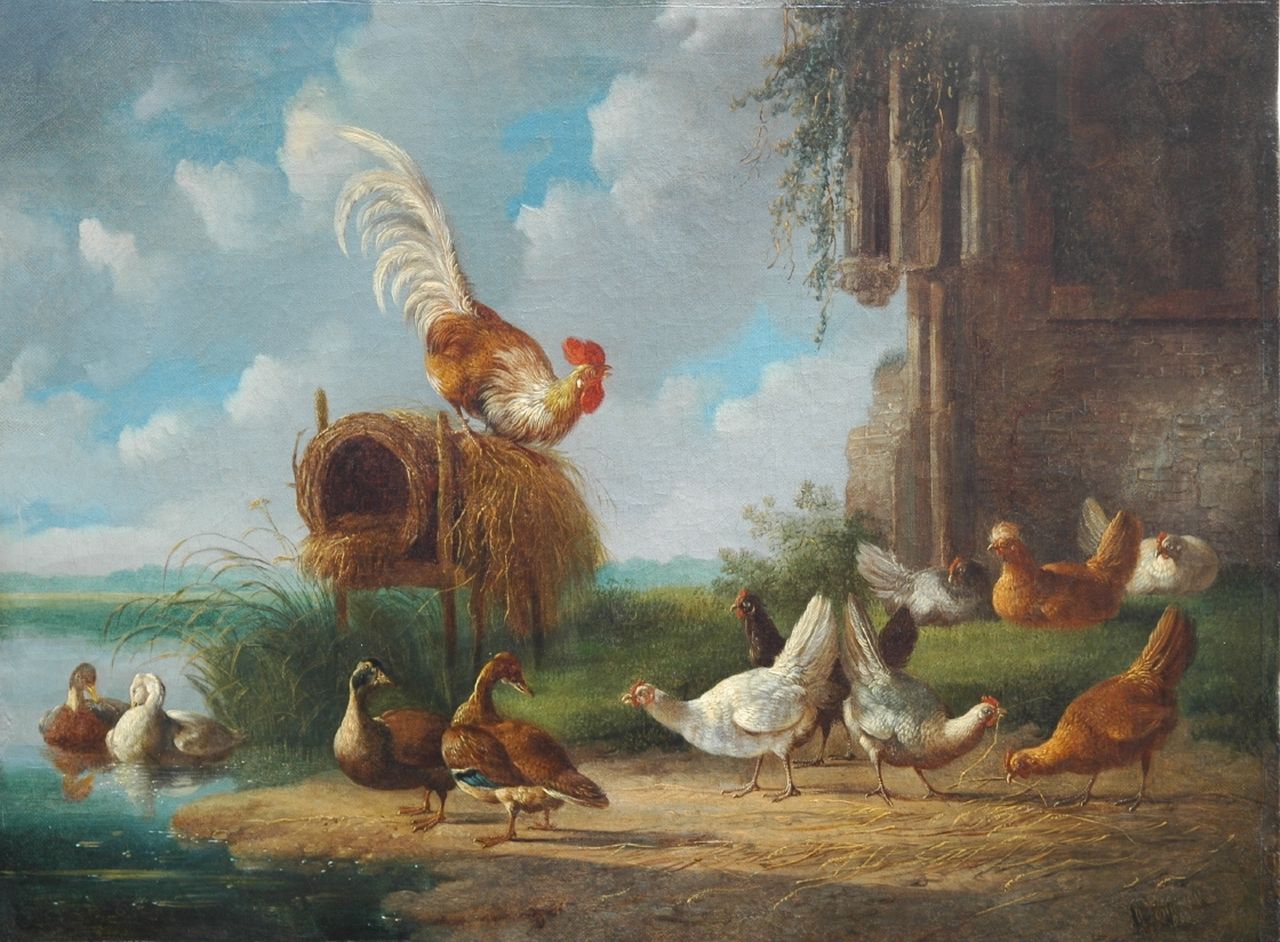 Verhoesen A.  | Albertus Verhoesen, Haan met sierkippen en eenden aan de waterkant, olieverf op doek 34,7 x 46,5 cm, gesigneerd rechtsonder