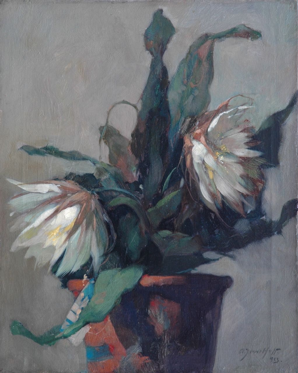 Hoff A.J. van 't | Adrianus Johannes 'Adriaan' van 't Hoff, Bloeiende cactus in bloempot, olieverf op doek 50,3 x 40,5 cm, gesigneerd rechtsonder en gedateerd 1923
